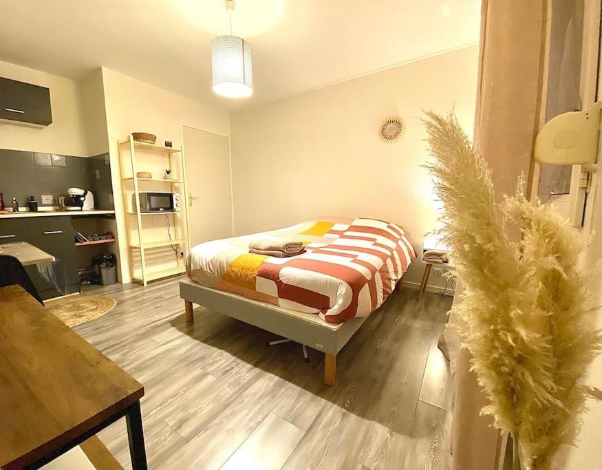 Au Calme Confort & Proche Centre Apartment Le Mans Ngoại thất bức ảnh
